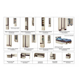 Шкаф для одежды 06.19 "Next"