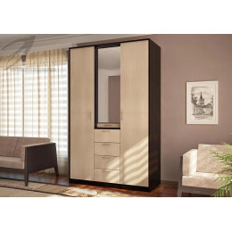 Шкаф Комфорт 4