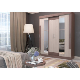 Шкаф-купе Феникс 1.7м