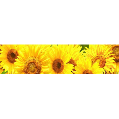 КУХОННЫЙ ФАРТУК Подсолнухи №2 АКВАТОН