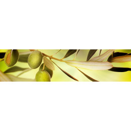КУХОННЫЙ ФАРТУК Оливковая ветвь "АКВАТОН"
