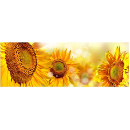 КУХОННЫЙ ФАРТУК Подсолнухи ЕР 81 "АКВАТОН"