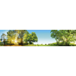 КУХОННЫЙ ФАРТУК SP 212 ГЛЯНЦЕВЫЙ