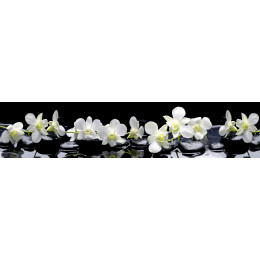 КУХОННЫЙ ФАРТУК SP 091 ГЛЯНЦЕВЫЙ