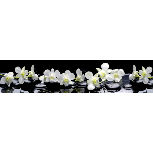 КУХОННЫЙ ФАРТУК SP 091 ГЛЯНЦЕВЫЙ