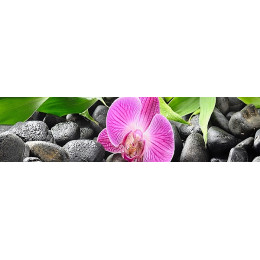 Фартук ХДФ c  печатью Орхидея