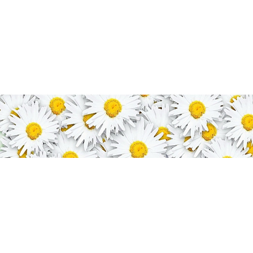 Фартук ХДФ c  печатью Ромашки