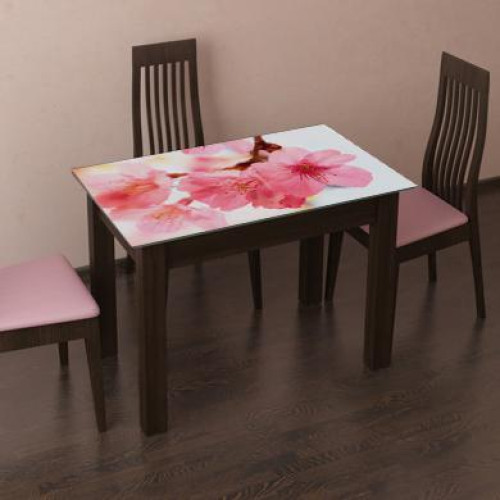 Стол обеденный «Ланч» фотопечать розовые цветы