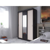 Шкаф-купе Андрей-4 М