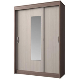 Шкаф-купе "Андрей-4 М"
