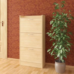 Обувной шкаф № 63