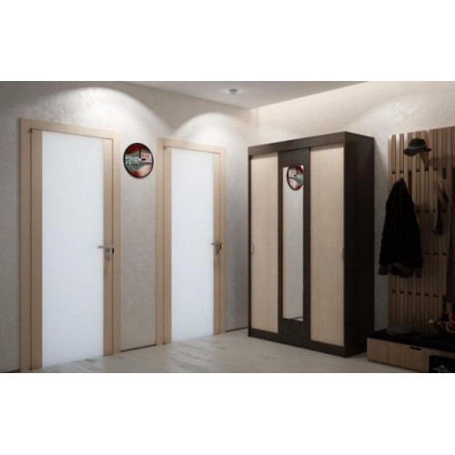 Шкаф-купе «Бася» (ИЦ)