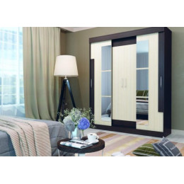 Шкаф-купе «Феникс»