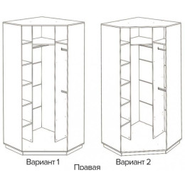 Угловой шкаф-купе "Медиум"
