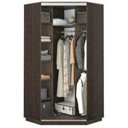 Угловой шкаф-купе "Медиум"