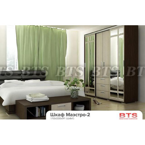 Шкаф-купе Маэстро 2