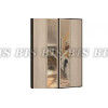 Шкаф Саломея БШ-1