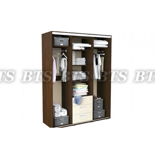 Шкаф-купе Маэстро 2