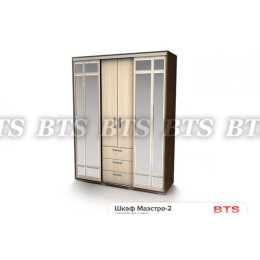 Шкаф-купе Маэстро 2