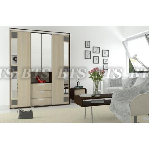 Шкаф-купе Маэстро 3