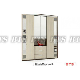 Шкаф-купе Маэстро 3