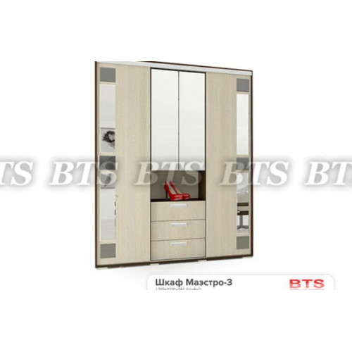 Шкаф-купе Маэстро 3
