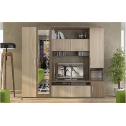 Гостиная «Софи» (Венге/Дуб белфорд)