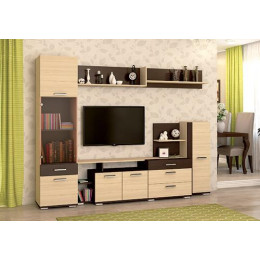 Гостиная «Басс» (Комплектация 1)