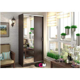 Шкаф-купе «Альянс 1»