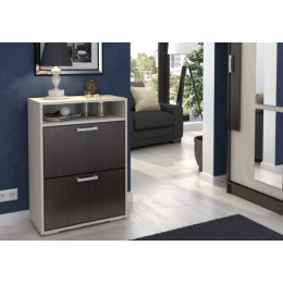 Обувница «Дели-1»