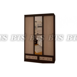 Шкаф-купе Модерн 1,65 м