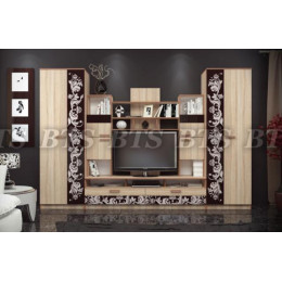 Гостиная Багира (Дуб сонома / Стекло кашемир)