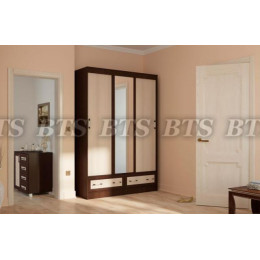 Шкаф-купе Модерн 1,65 м