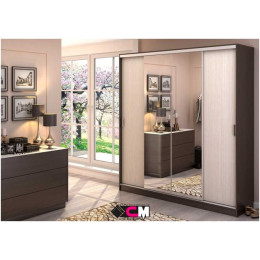 Шкаф-купе «Альянс 2»