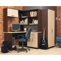 Стол компьютерный «СТК №22» (Венге / Туя светлая)