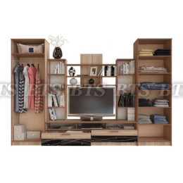 Гостиная Багира (Дуб сонома / Стекло каштан)