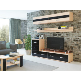 Гостиная «Сенатор» (Комплектация 6)