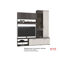 Гостиничный «Флай» - Гостиная ЦС-01