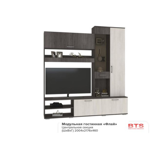 Гостиничный «Флай» - Гостиная ЦС-01