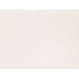 Столешница 3000х600х40 Белый 1111/Q (1п/5), e1, Slotex