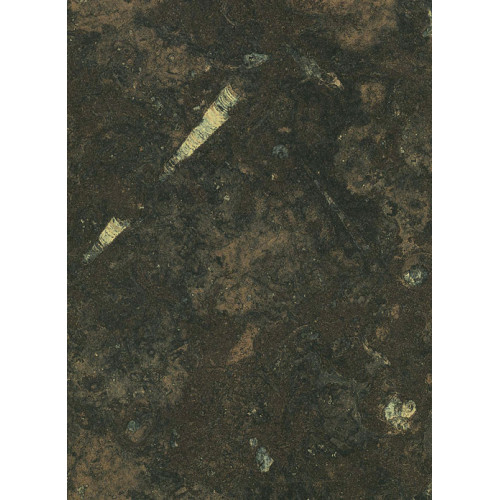 Столешница КЕМБРИЯ Глянцевая (410Г) 600-3050-26-1U