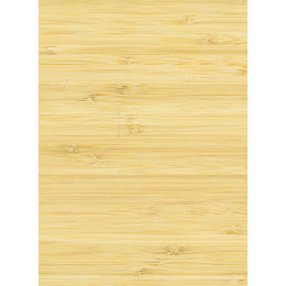 Столешница "БАМБУК" Матовая (2042М) 600-3050-38-1U на вл/ст дсп