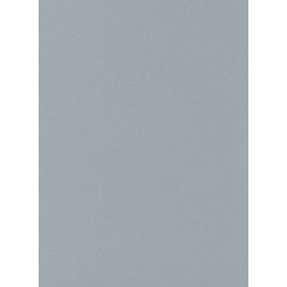 Столешница "СЕРЕБРО" Матовая (116АМ) 600-3050-26-1R3