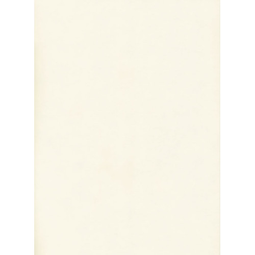 Столешница БЕЛЫЙ Матовая (10М) 600-3050-26-1R3