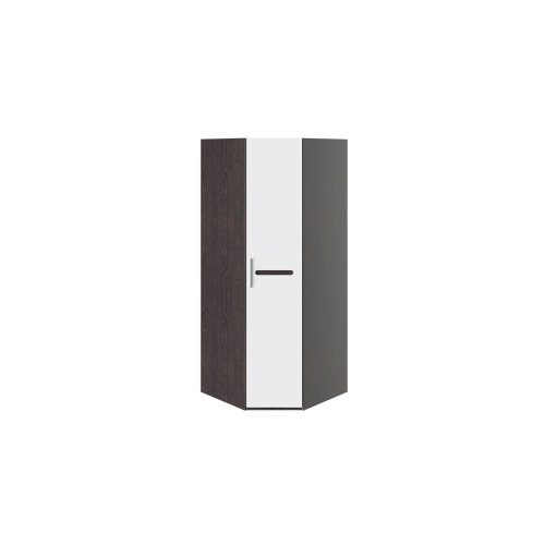 Шкаф угловой с 1-ой глухой дверью «Фьюжн» - ТД-260.07.03