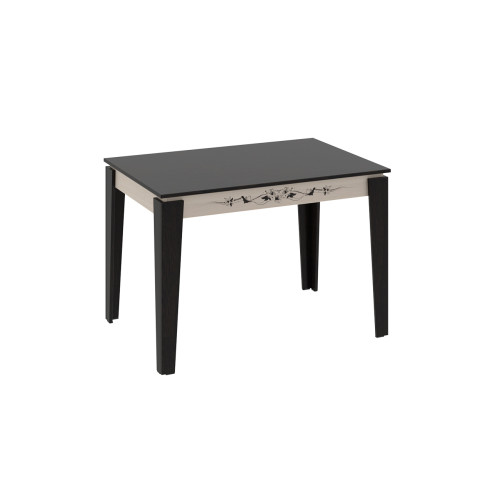 Стол обеденный «Лацио» Тип 1