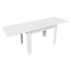 Стол раздвижной «Промо» тип 4 - 006.000.000