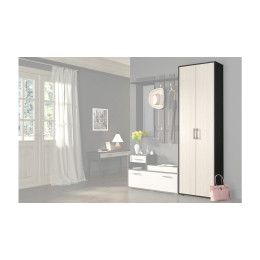 Шкаф для одежды «Арт»