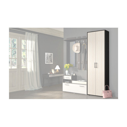 Шкаф для одежды «Арт»